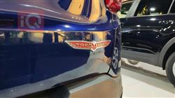 جيب رينيجيد